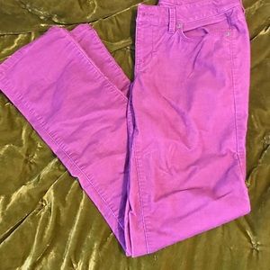 Loft size 4 modern straight purple cords